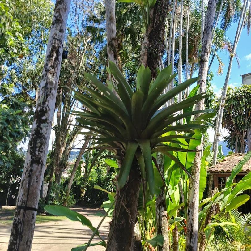 Villa Dos Passaros Paraty Hospedagem Bagian luar foto