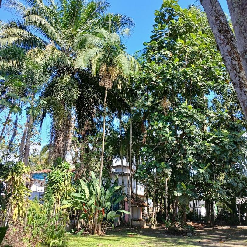 Villa Dos Passaros Paraty Hospedagem Bagian luar foto